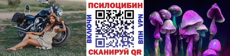 KRAKEN ССЫЛКА  даркнет сайт  Юхнов  Галлюциногенные грибы GOLDEN TEACHER 